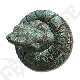 Coil Shield