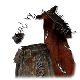 Proselyte Garb