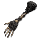 Arm Bones