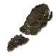 Arm Fungus