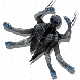 Nohuta Effigy